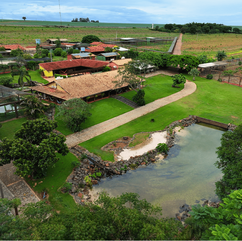 Equipe preparando alimentação dos felinos no Instituto Onça-Pintada