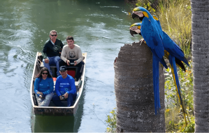 Expedição de barco pelo Rio Araguaia no Corredor da Onça