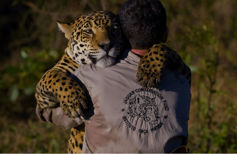 Participantes reunidos no encerramento da imersão